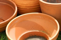 /dereklseitz/BloomValleyNursery/raw/commit/2805c14e5658c00319c278679d3a4ff9545d65b3/src/images/_s-thumbs/accessories/garden-pots.jpg
