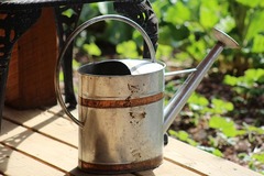 /dereklseitz/BloomValleyNursery/raw/commit/2805c14e5658c00319c278679d3a4ff9545d65b3/src/images/_s-thumbs/accessories/watering-can.jpg