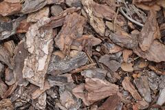 /dereklseitz/BloomValleyNursery/raw/commit/601ff81c6269d1c2db6ee004bb66671c2f0336ce/src/images/_s-thumbs/landscaping/bark-mulch.jpg